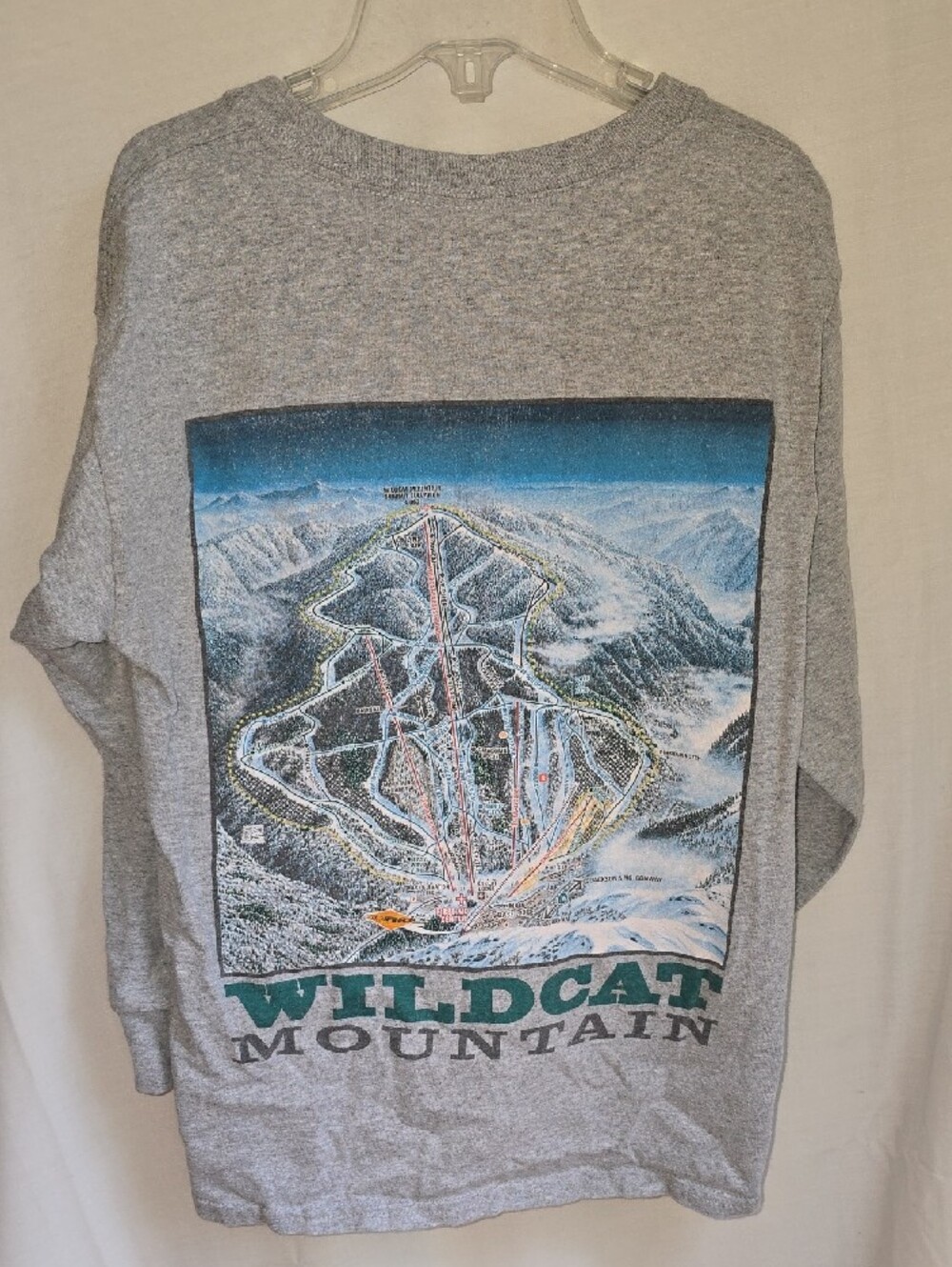 Wildcat Mountain Gray Kids T-shirt Double Sided Vintage